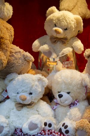 teddies galore sm.jpg